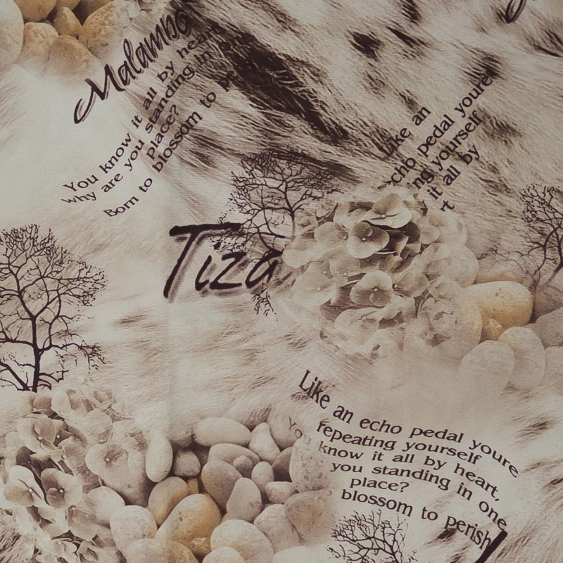 Tiza 1_1