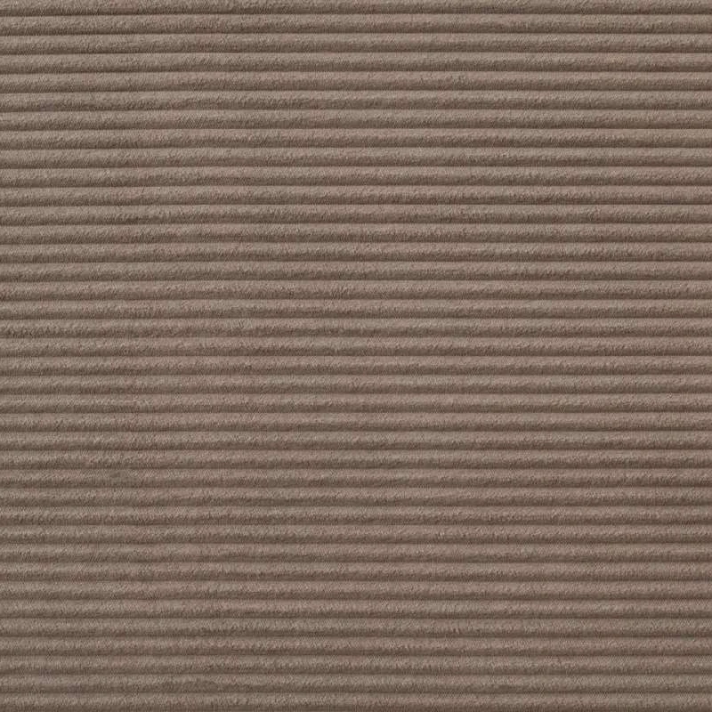 CILIUM BROWN