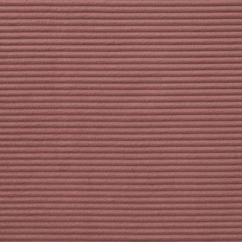 CILIUM CORAL