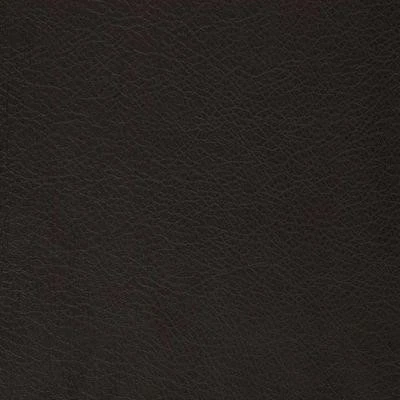 Cosmos Cometa Black