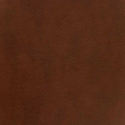 Cosmos Cometa Brown