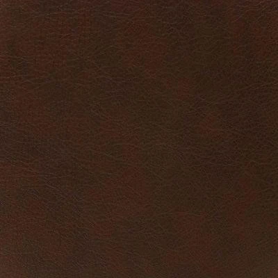 Cosmos Cometa Dk Brown