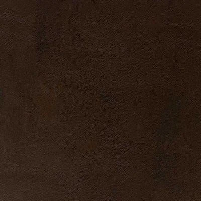 Cosmos Spase Brown