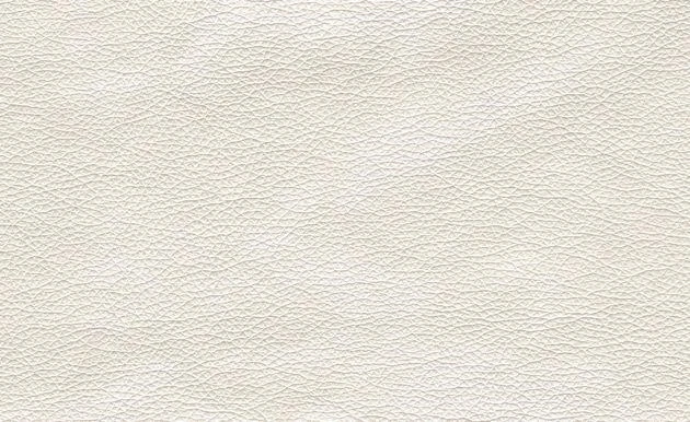 MARVEL PEARL SHELL