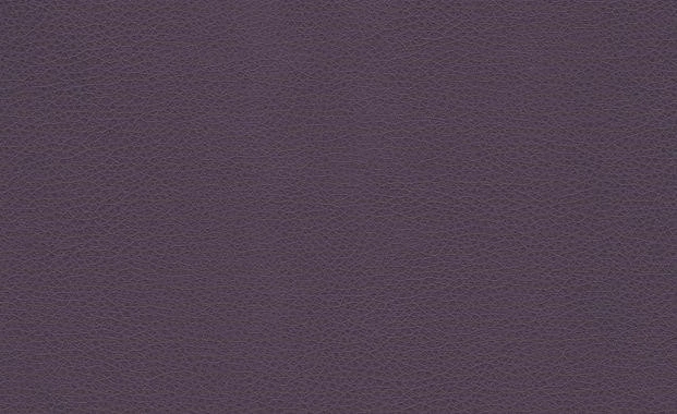 MARVEL PLUM