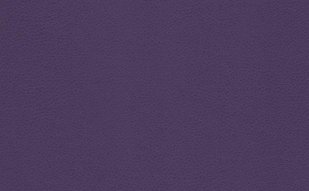 MARVEL VIOLA
