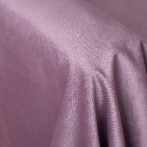 BINGO LILAC