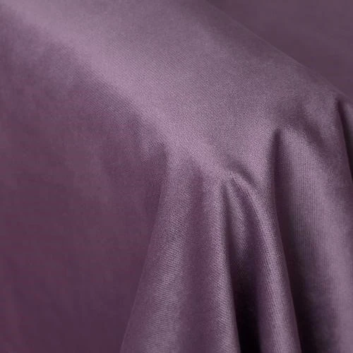 BINGO PLUM