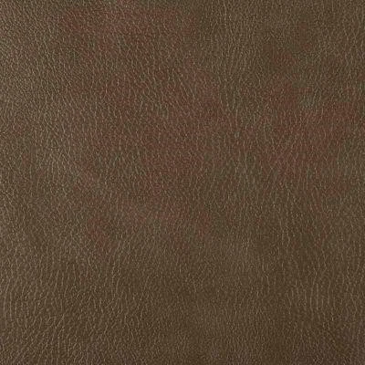 Бизон 13
