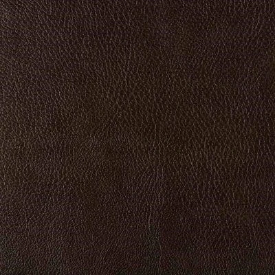 Бизон 16