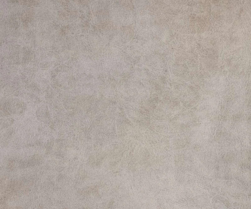 Camel 14 (Ivory)