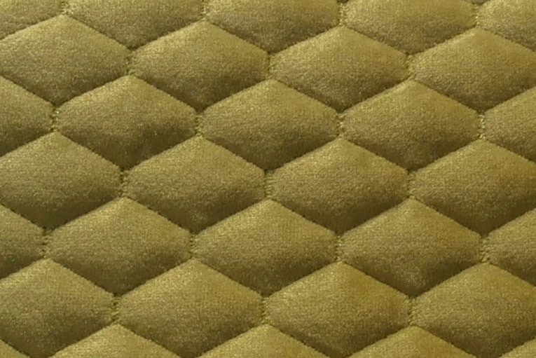 CASPIA 11 Olive