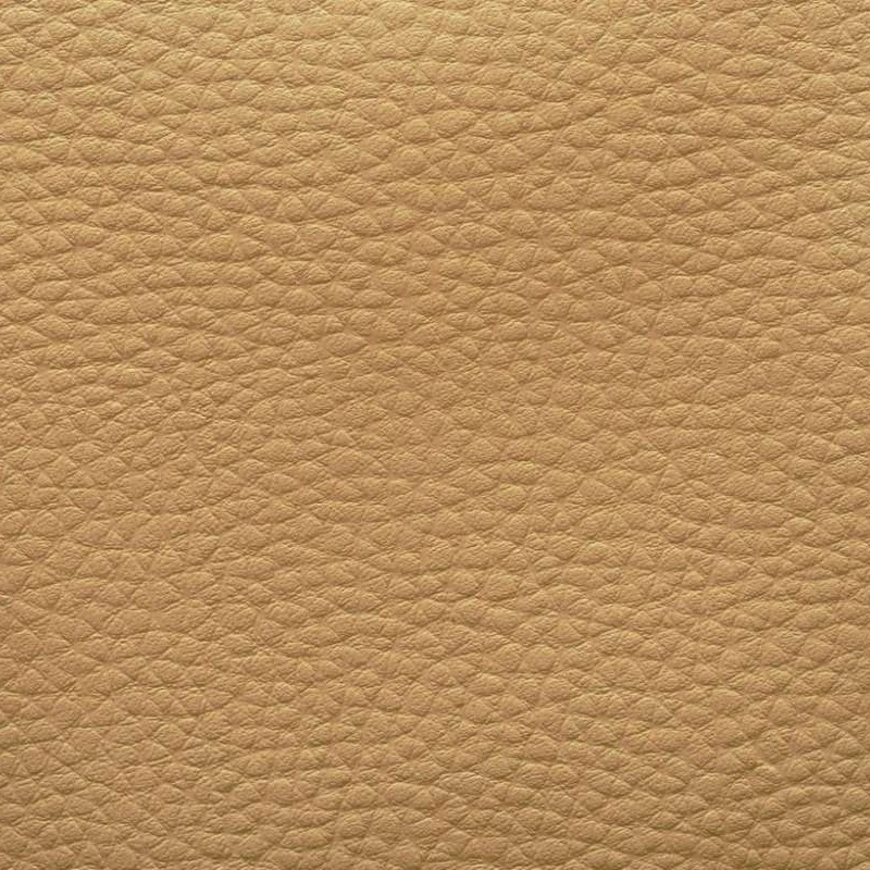Alba Dollaro 557