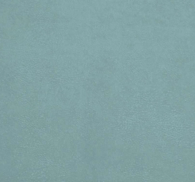 MAGNETIC MINT (LE)