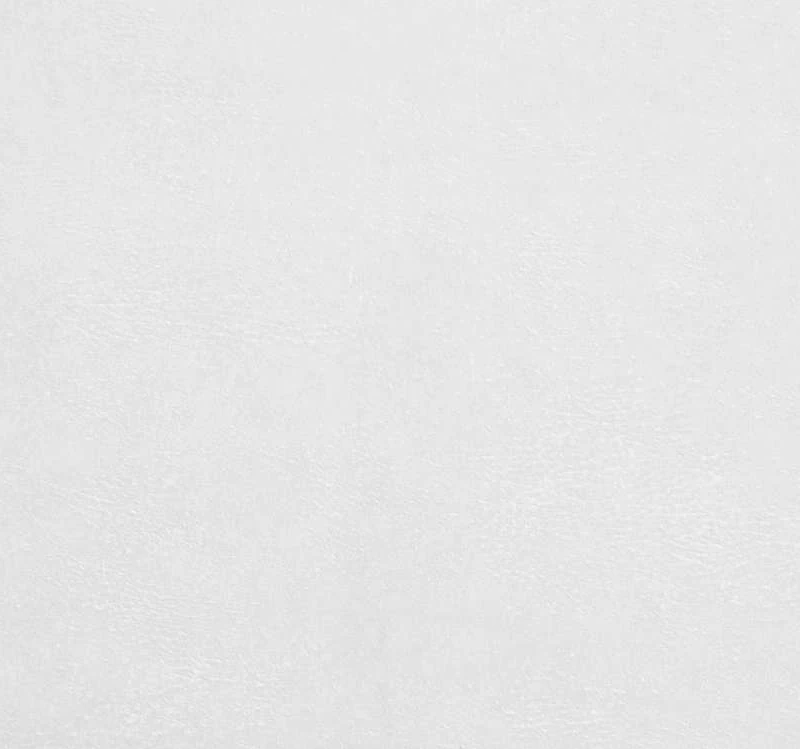 MAGNETIC WHITE (LE)
