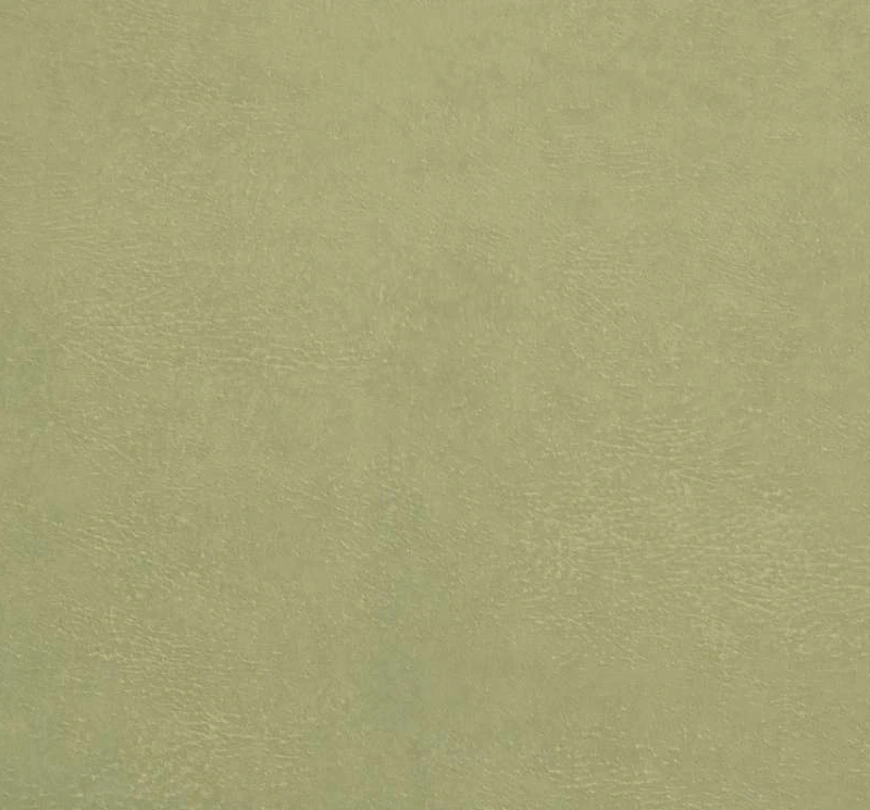 MAGNETIC OLIVE (LE)