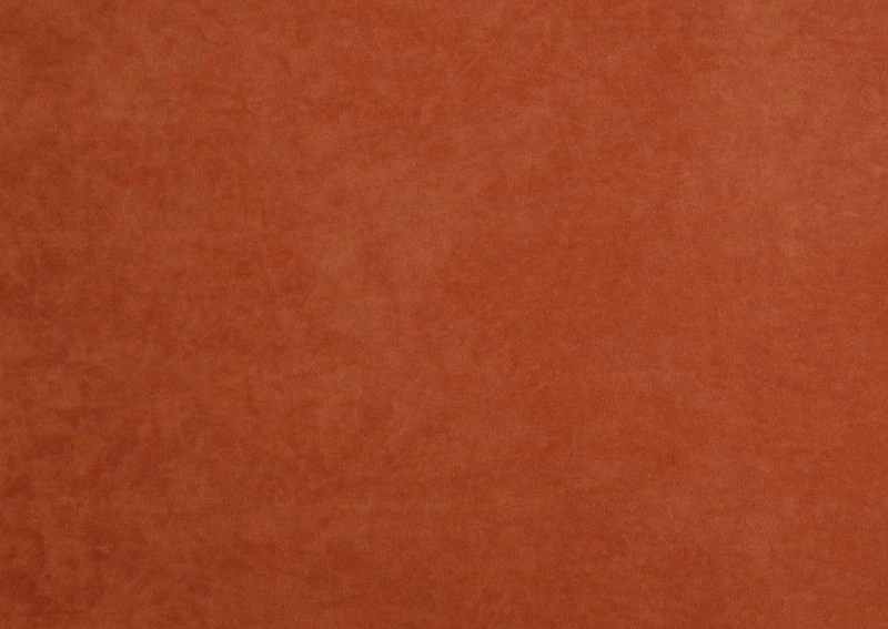 Viva 19